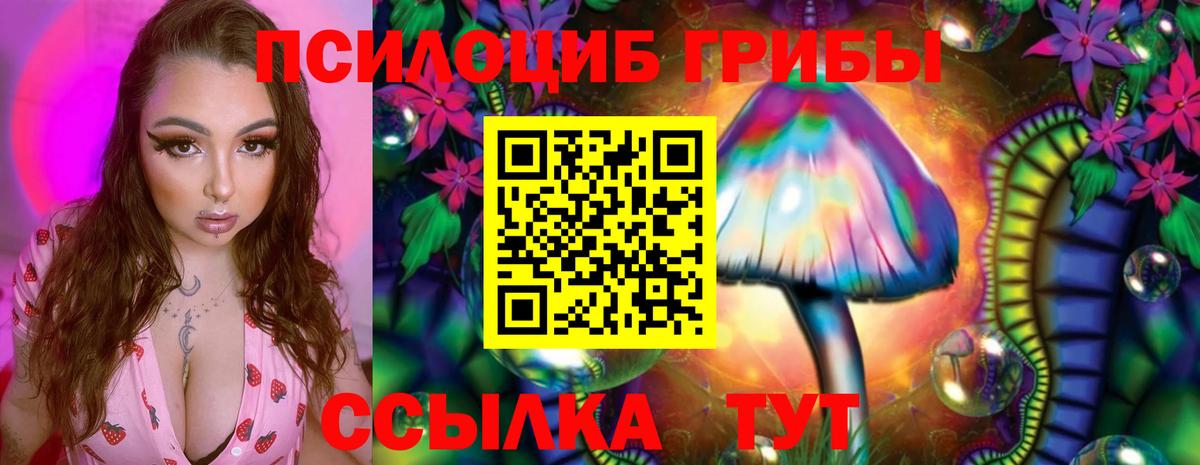 Псилоцибиновые грибы мухоморы Мытищи