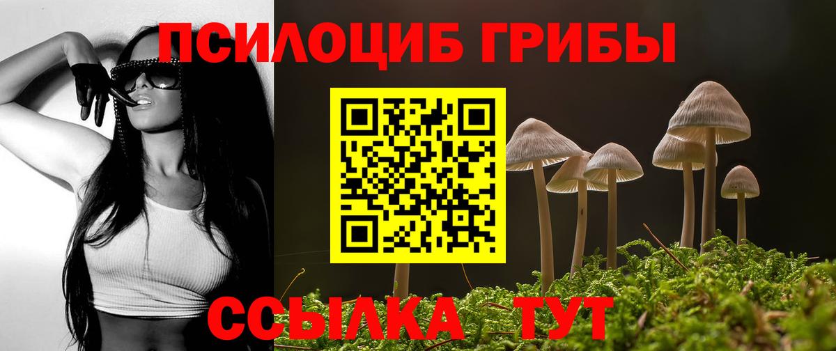 купить   Галлюциногенные грибы прущие грибы  Вход с VPN  Мытищи 